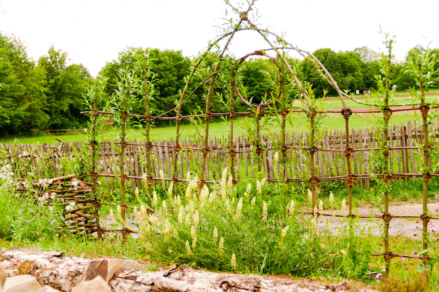 Bergischer Naturgarten