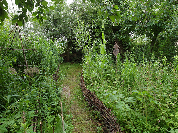 VHS-Kurs Lebensraum Naturgarten in Troisdorf