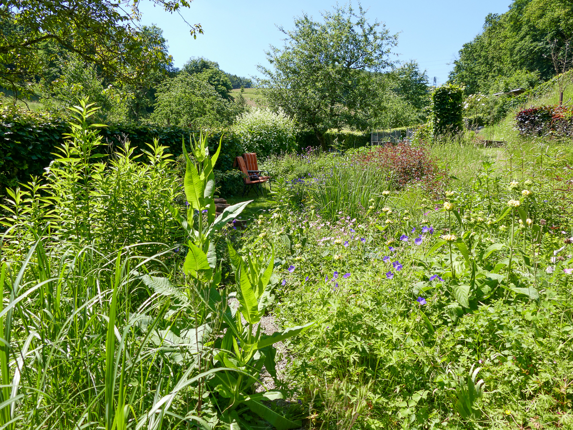 Landschaftsgarten in Gummersbach-Bünghausen
