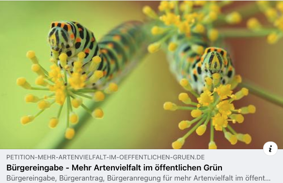 Bürgerantrag „Mehr Artenvielfalt an Straßen- und Wegesäumen der Stadt Borgholzhausen“
