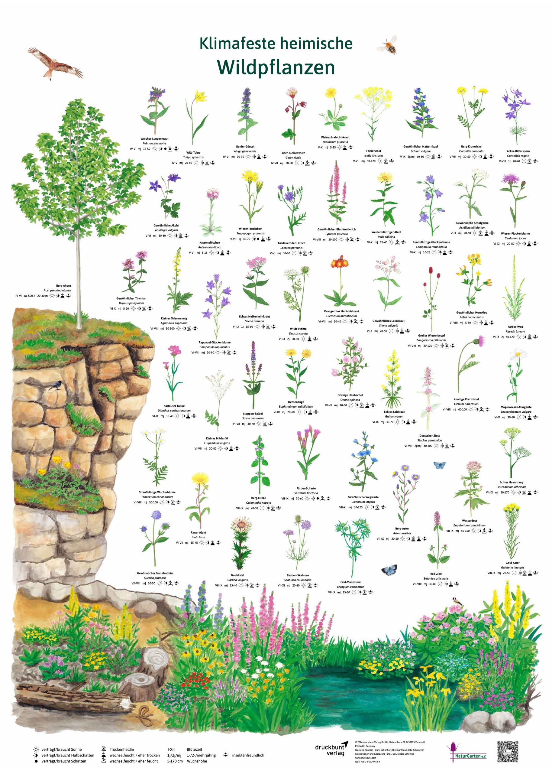 Erlebnisposter „Klimafeste heimische Wildpflanzen“ im Verkauf