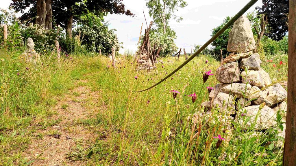 Biodiversität – Die Vielfalt der Natur verstehen und erleben