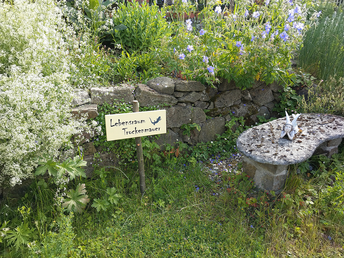 <strong>Naturkleingarten: Lebensraum Trockenmauer</strong>