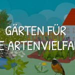 Filme gARTENreich