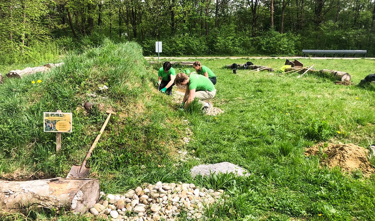 Pflege mit Biodiversitätspatenschaften