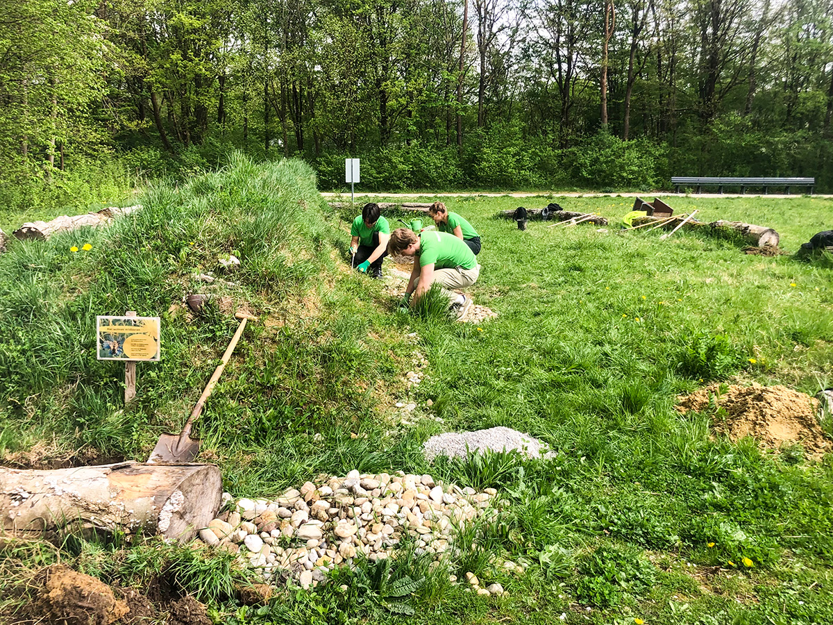 Pflege mit Biodiversitätspatenschaften