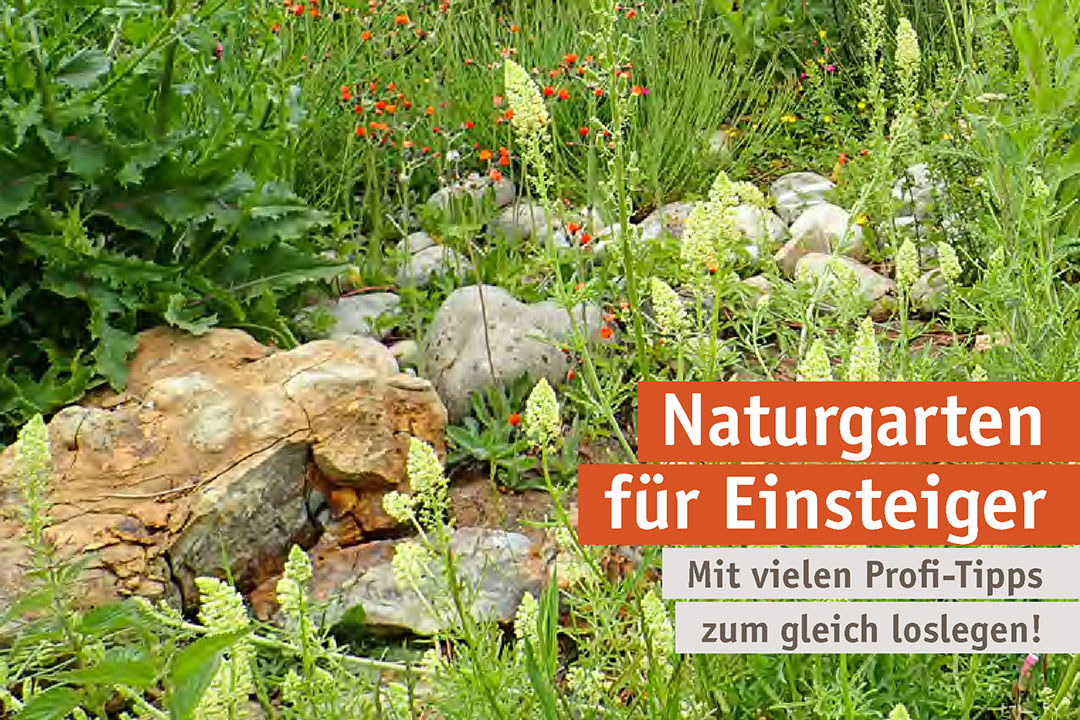 Naturgarten für Einsteiger 3-