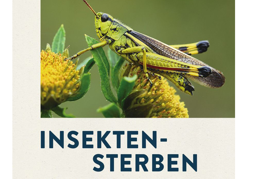 Insektensterben in Mitteleuropa. Ursachen und Gegenmaßnahmen. 3-
