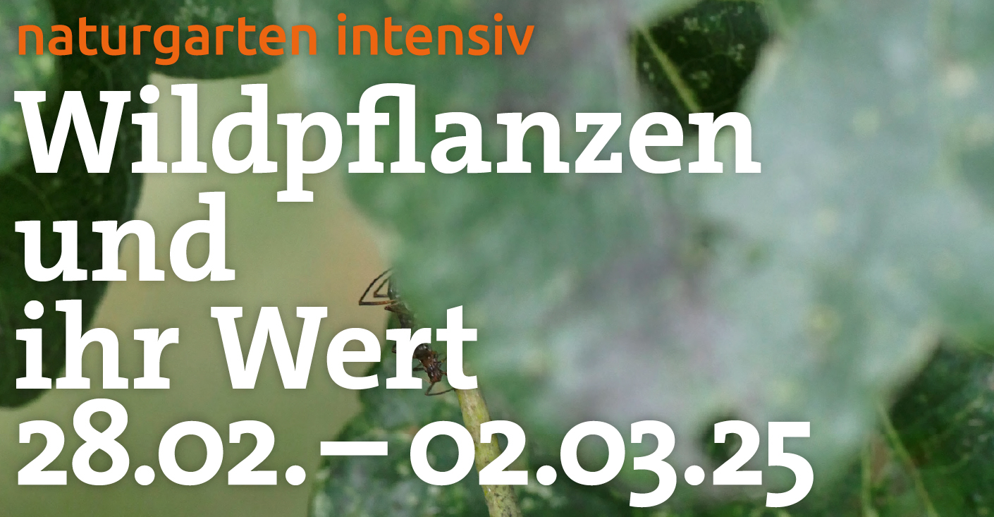 Naturgarten Intensiv vom 28.2. bis 2.3. 2025 Wildpflanzen und ihr Wert