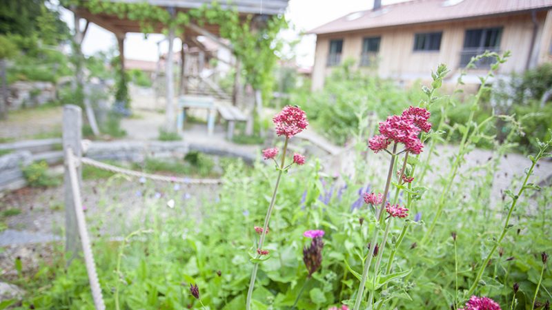 Partner gesucht: Gemeinsam NaturErlebnisRäume in Praxis und Lehre voranbringen!