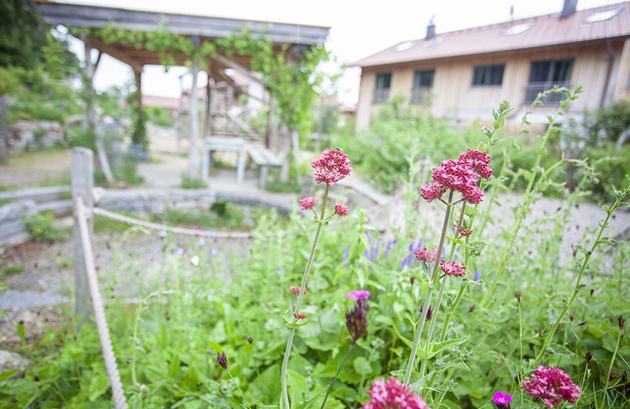 Partner gesucht: Gemeinsam NaturErlebnisRäume in Praxis und Lehre voranbringen!