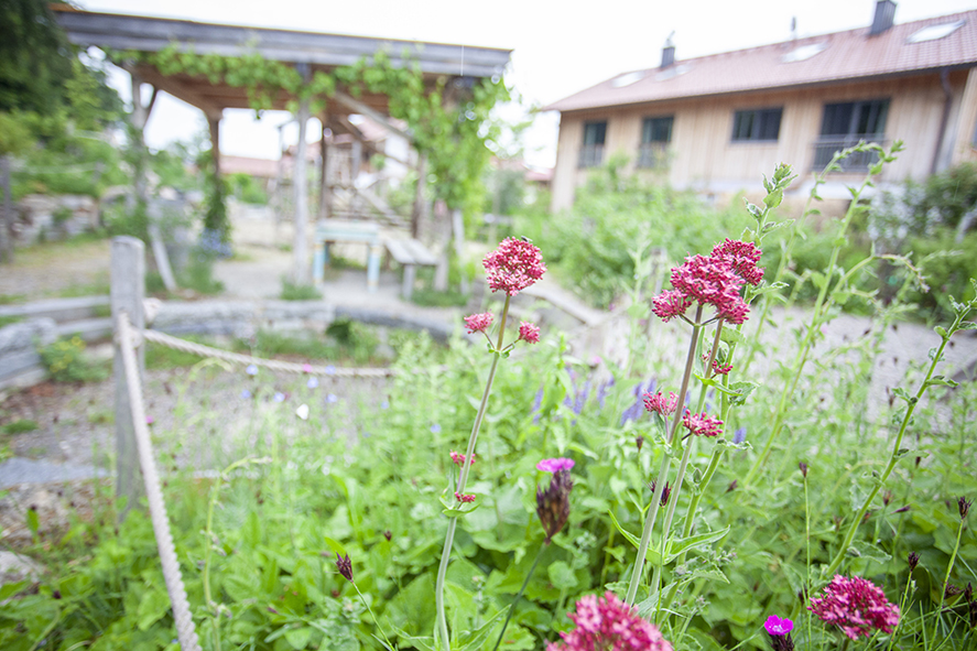 Partner gesucht: Gemeinsam NaturErlebnisRäume in Praxis und Lehre voranbringen!