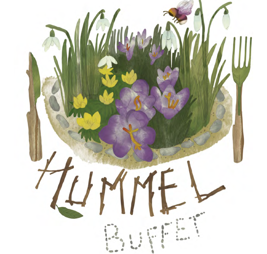 Heute pflanzen wir ein Hummelbuffet! – Episode 13